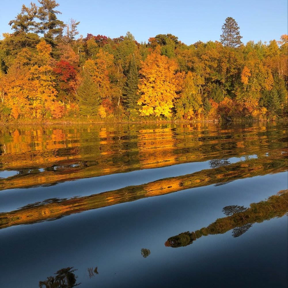 Meet your Posher, Lynn